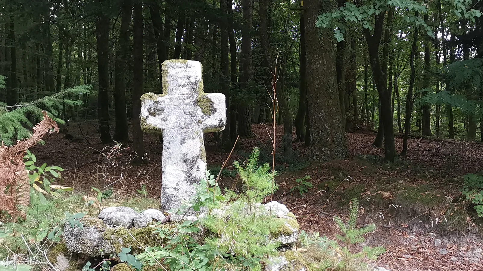 Corrèze découverte - Photo N° 1 - La croix du Champ du Puy - 19260 - Treignac -  - 
