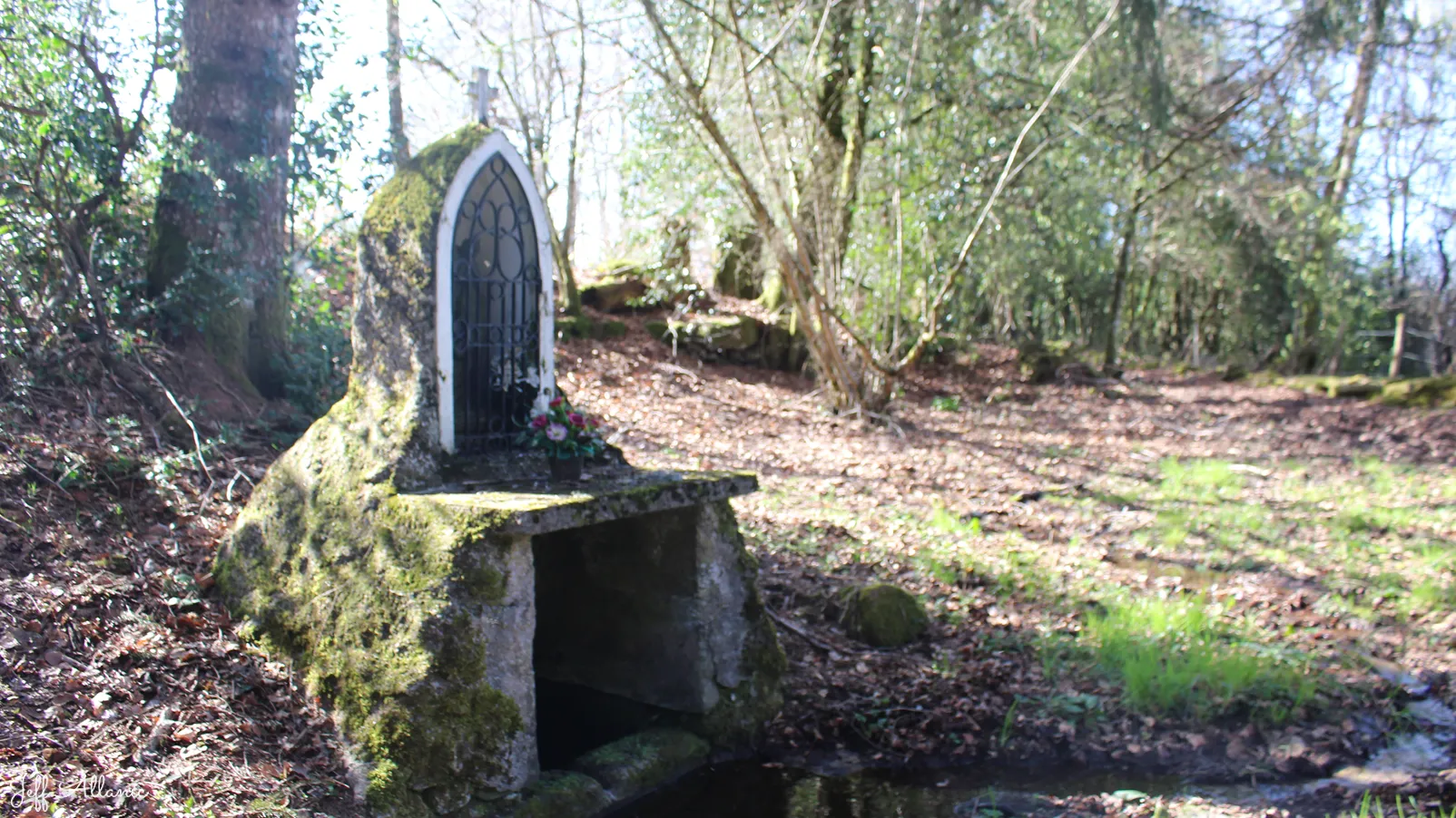 Corrèze découverte - Photo N° 4 - La fontaine de la bonne Vierge - 19170 - Saint-Merd-les-Oussines -  - 