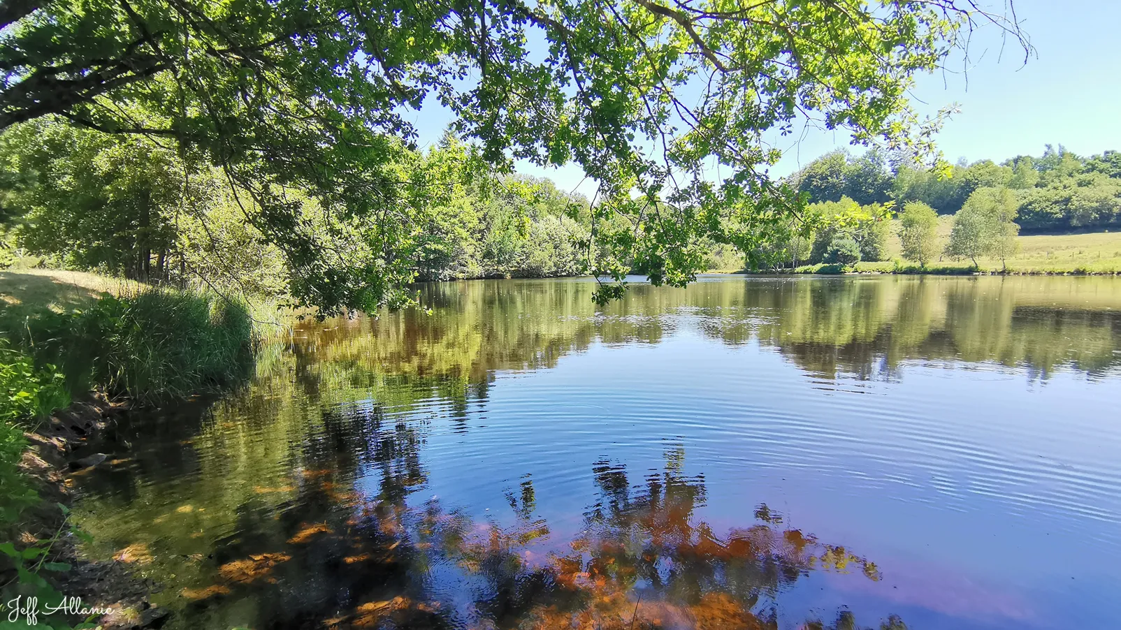 Corrèze découverte - Photo N° 5 - L'étang de Chaleix - 19800 - Vitrac-sur-Montane - Rivières & Plans d'eau - Quelques pas - Autour de vous