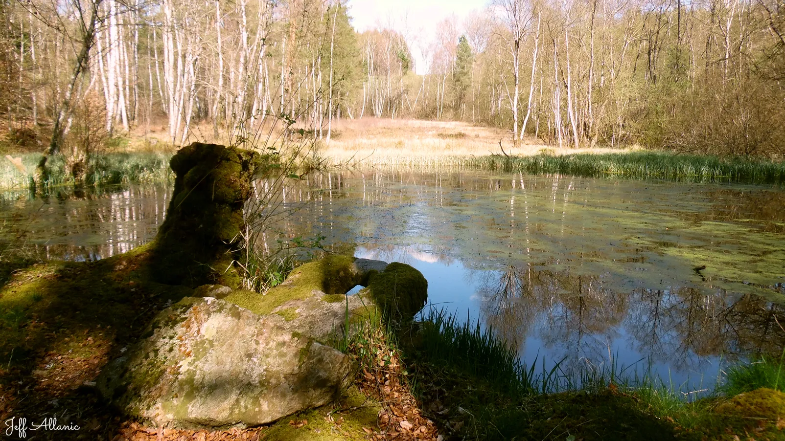 Corrèze découverte - Photo N° 4 - La promenade autour de la cascade de la Virolle - 19170 - Lestards -  - 