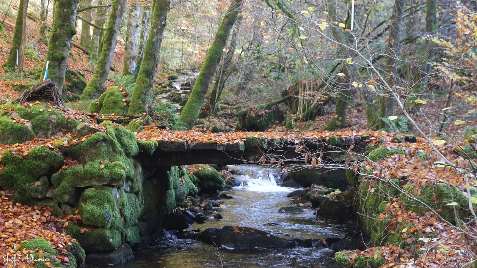 Corrèze découverte - Photo N° 1 - Les petits ponts de bois de Piquemenu - 19170 - Toy-Viam -  - 