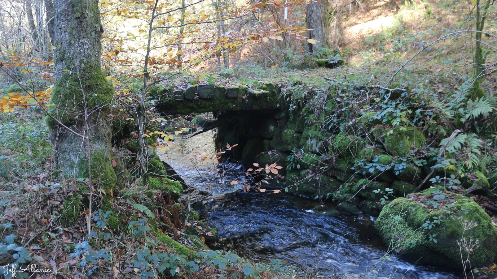 Corrèze découverte - Photo N° 3 - Les petits ponts de bois de Piquemenu - 19170 - Toy-Viam -  - 