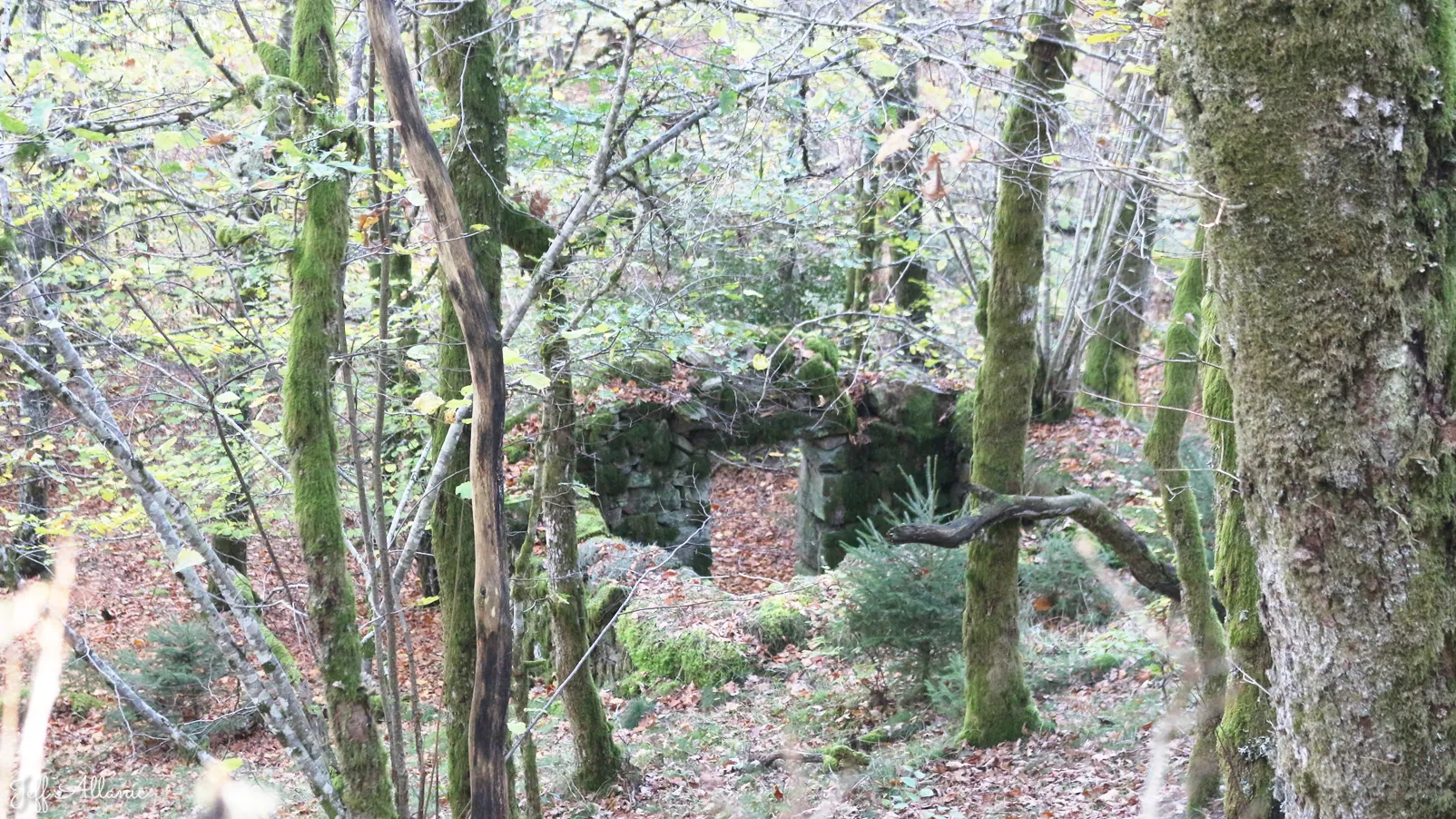 Corrèze découverte - Photo N° 3 - Le rocher de l'éperon Barré - 19170 - Tarnac -  - 