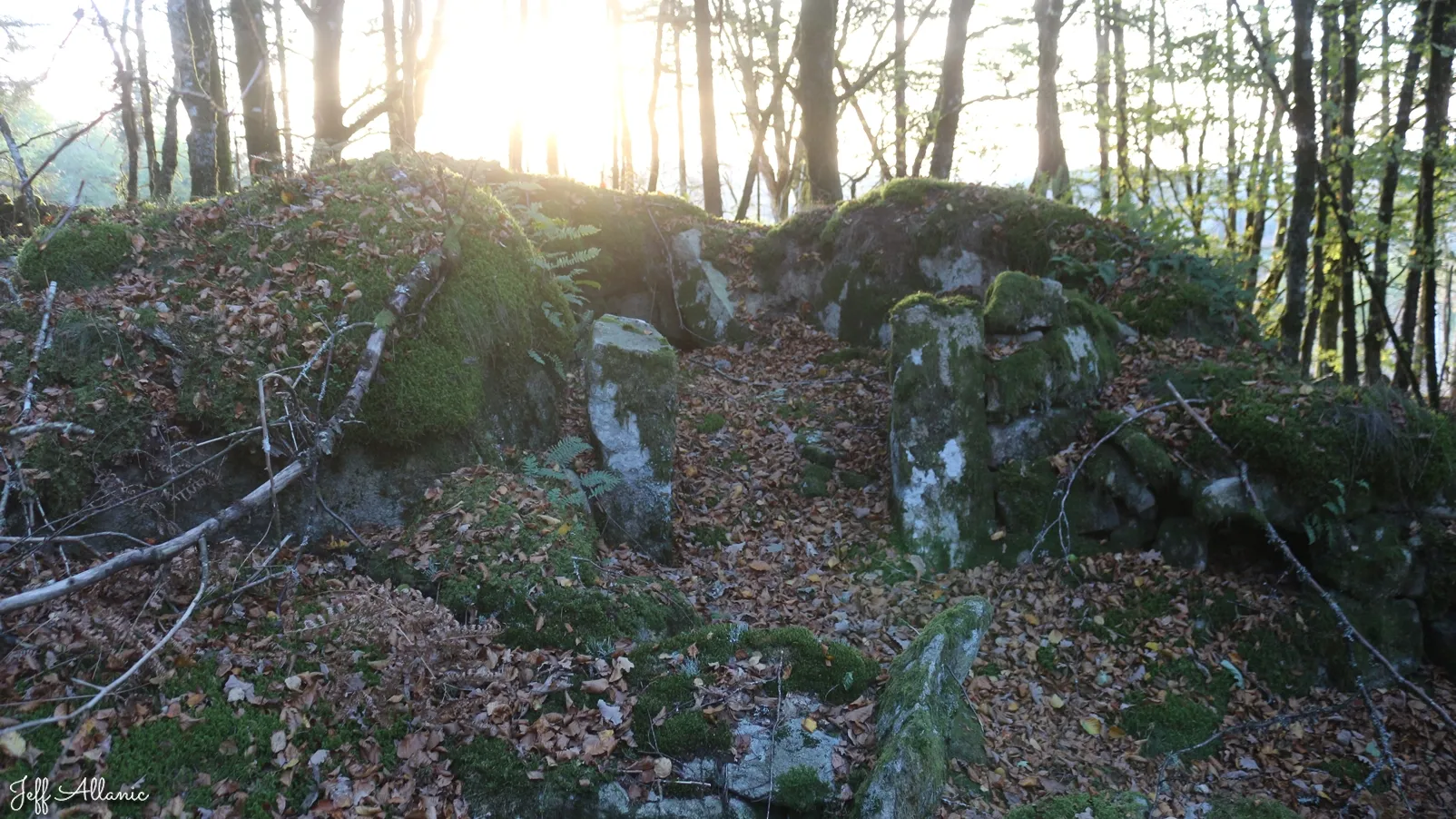 Corrèze découverte - Photo N° 4 - L'ancien abri dans les rochers - 19290 - Peyrelevade -  - 