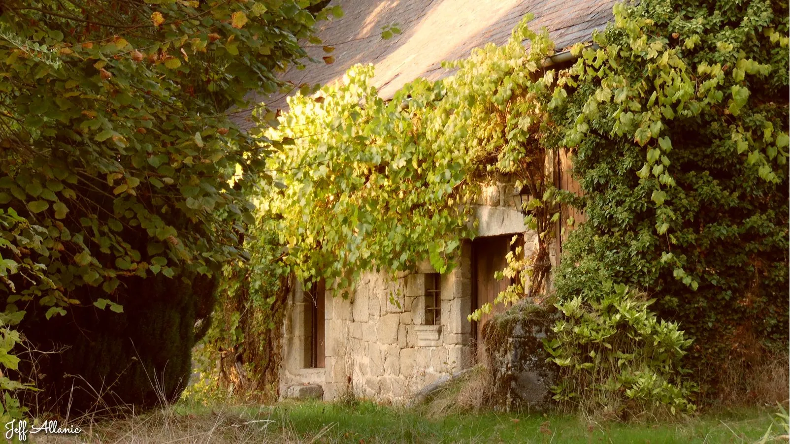 Corrèze découverte - Photo N° 3 - Le village de Saint-Julien-Prés-Bort - 19110 - Saint-Julien-prés-Bort - Monuments historiques - Quelques pas - Autour de vous