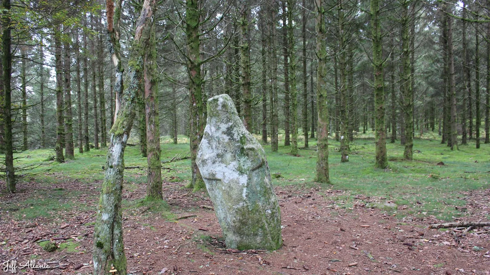 Corrèze découverte - Photo N° 1 - Le menhir du Pilar - 19170 - Bonnefond - Petit patrimoine - Randonnée facile  <small><i>et/ou</i></small>  De + d'un kilomètre