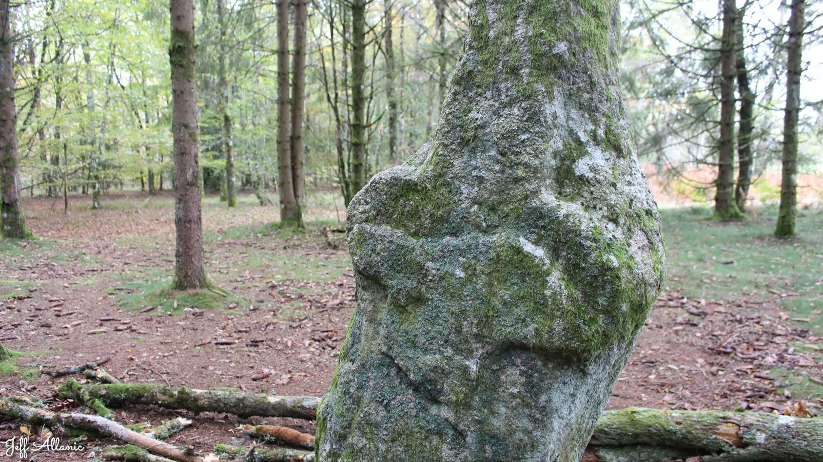 Corrèze découverte - Photo N° 3 - Le menhir du Pilar - 19170 - Bonnefond - Petit patrimoine - Randonnée facile  <small><i>et/ou</i></small>  De + d'un kilomètre