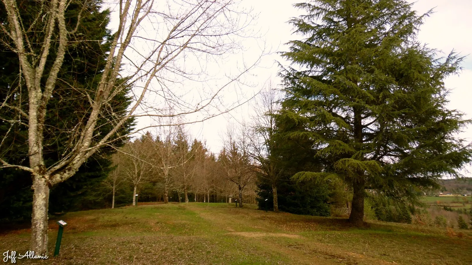 Corrèze découverte - Photo N° 5 - Arboretum du Puy de Chadon - 19800 - Gimel-les-Cascades - Panoramas & Grands espaces - Randonnée facile  <small><i>et/ou</i></small>  De + d'un kilomètre
