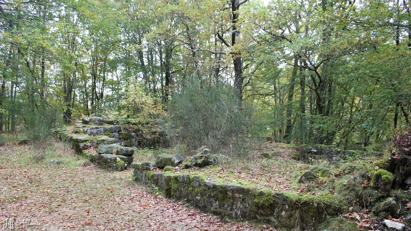 Corrèze découverte - Photo N° 5 - Les ruines de Montamar - 19300 - Saint-Yrieix-le-Déjalat - Monuments historiques - Randonnée facile  <small><i>et/ou</i></small>  De + d'un kilomètre