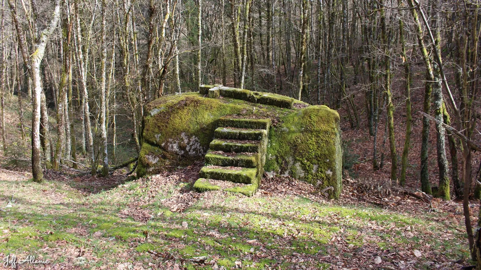 Corrèze découverte - Photo N° 1 - Le rocher de la Rissière - 19800 - Eyrein - Petit patrimoine - Randonnée facile  <small><i>et/ou</i></small>  De + d'un kilomètre