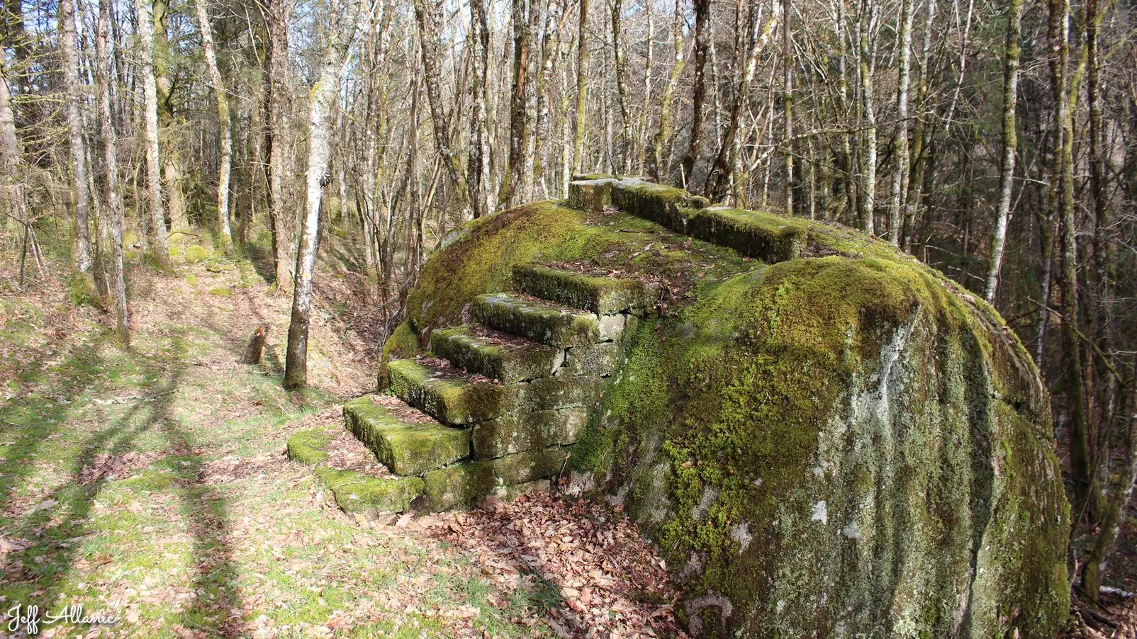 Corrèze découverte - Photo N° 5 - Le rocher de la Rissière - 19800 - Eyrein - Petit patrimoine - Randonnée facile  <small><i>et/ou</i></small>  De + d'un kilomètre