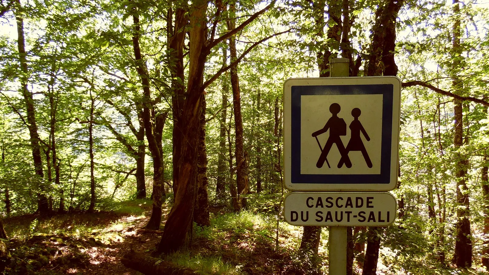 Corrèze découverte - Photo N° 2 - Les cascades du Saut Sali - 19550 - Soursac - Rivières & Plans d'eau - Randonnée facile  <small><i>et/ou</i></small>  De + d'un kilomètre