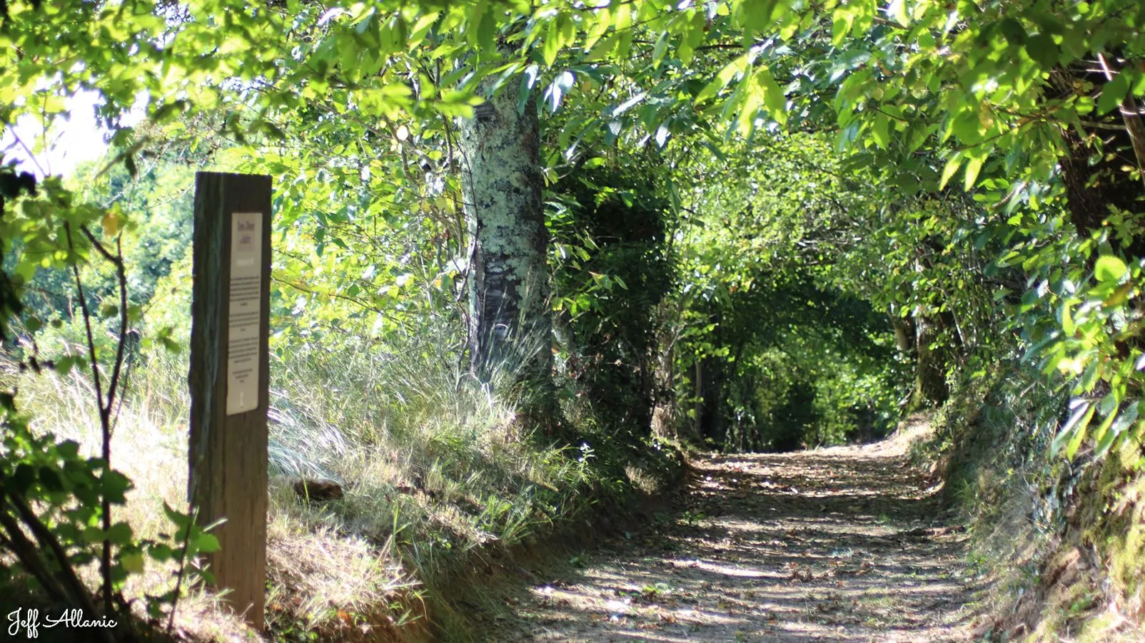 Corrèze découverte - Photo N° 3 - Le chemin des résistants - 19270 - Sainte-Féréole - Passages d'histoires - Promenande facile  <small><i>et/ou</i></small>  De - d'un kilomètre